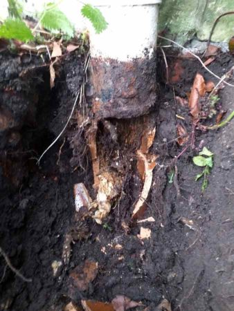 Roots Cleared from Damaged Drain